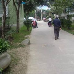 晨曦园4室3厅东南南