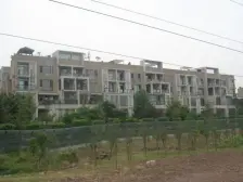 会呼吸的洋房 同天绿岸一楼洋房 大端户 带80平米花园