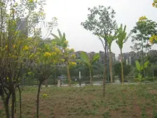 彩云湖公园里纯洋房社区同天绿岸带前后花园