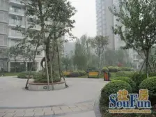 杨家坪滩子口轻轨站 电梯小高层 朝南 楼层好