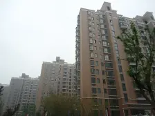 保利新上 总价低 采光好 前后栋距宽