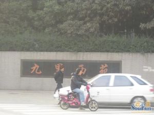 九里西苑3室2厅东南