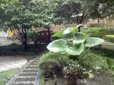 九宫庙 新城明珠四房72.1万