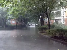 业主诚心出售,双阳台,户型通透,采光好,看房方便