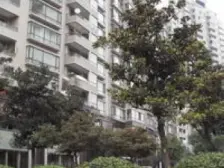 长峰浦江 3室2厅 南 西南
