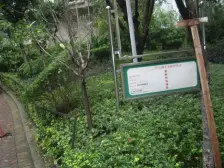 马王乡 福星颐美香庭二房75万