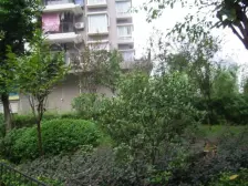 房子是正规四室一厅户型方正业主诚心出售