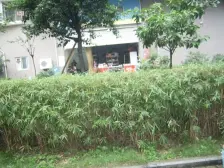 马王乡福星颐美香庭四房