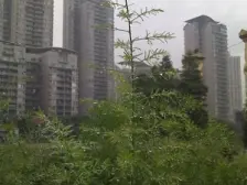 毛线沟 杨渡一村二房65万