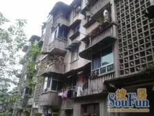 杨渡一村 2室1厅 东