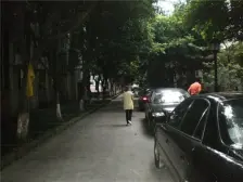 金果园 5室2厅 南