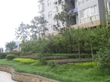 九龙坡 天宝路小区 3室3厅 150.00㎡ 78万