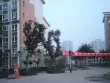 人民广场 君临棠城一房