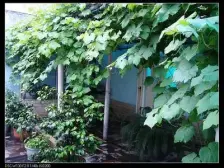 张家花园 2室1厅 东南