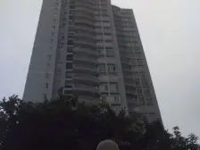 渝中母城,网红景区房,与富人共同的好房