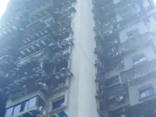 巴高和巴初陪渎房 一边走一半 户型方正 带屋顶使用
