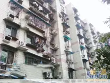 六年影响一生 红梅花儿开 朵朵放光彩 平上半层