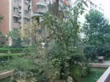 毛线沟 杨渡一村二房110万