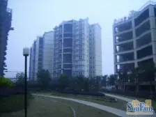 东方之娇,三房双卫,户型方正,视野好