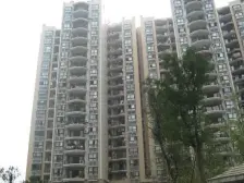 奥体袁家岗重医旁正规一室一厅 楼层好