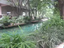 毛线沟 祥和如意居三房126万