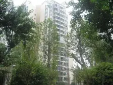 杨家坪商圈动物园轻轨站旁,大平层,近轻轨动物园站