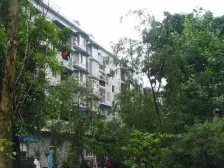 歌乐山 鼎秀风林三房41万