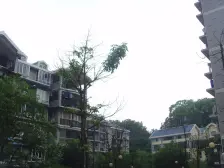 歌乐山 鼎秀风林三房50万