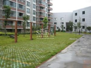 尊贵丽景家园3室2厅南