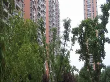 小区安静位置一房,交易成本低!业主诚意出售!