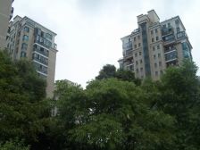 水清木华 南北通户型 边套全明 绿城物业 得房率高