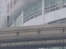 玫瑰苑 1室1厅 南