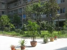 大渡口区府旁 端头 大两房 采光好