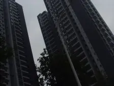 正规两房户型方正采光充足业主安心卖见钱就卖