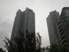 星都花园 1室0厅 东