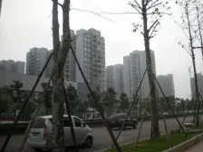 大溪沟 星都花园 正规两室一厅