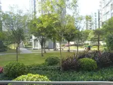 凤天路图书馆后书香美舍 正三室两卫 户型方正