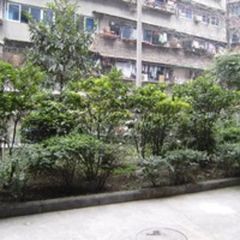 营康路77号2室1厅西南