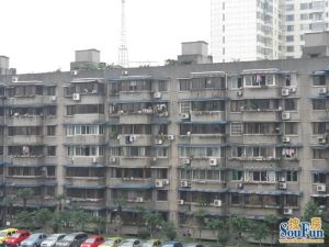 石人南路8号3室1厅南