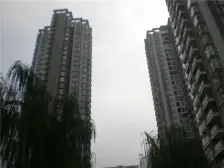 户型通透,板式结构,,采光充足,诚心出售