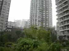 户型通透,板式结构,精装满二,采光充足,诚心出售