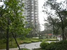 独立使用屋顶露台小洋楼板式结构采光好