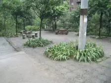 九龙坡 石坪村 2室1厅