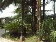 市政府旁 住家 交通方便 大礼堂