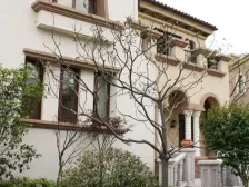 招商海廷 独栋别墅 下沉式花园 急卖急卖