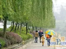 杨家坪精装修电梯2房 业主自住房 家电齐全 拎包入住