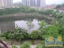 城南新区 湖岸雅筑三房53万