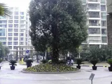 附送双层地下室,南北通结构,朝南日照无遮挡,隆德路