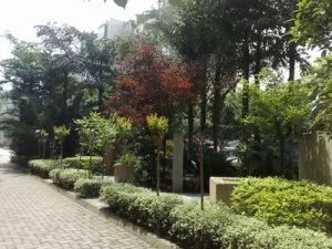 花样年华2室1厅东
