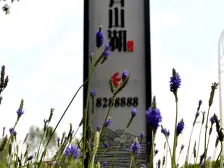 万科青山湖别墅,小区环境好,空气好,交通便利